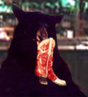 bearboot.jpg